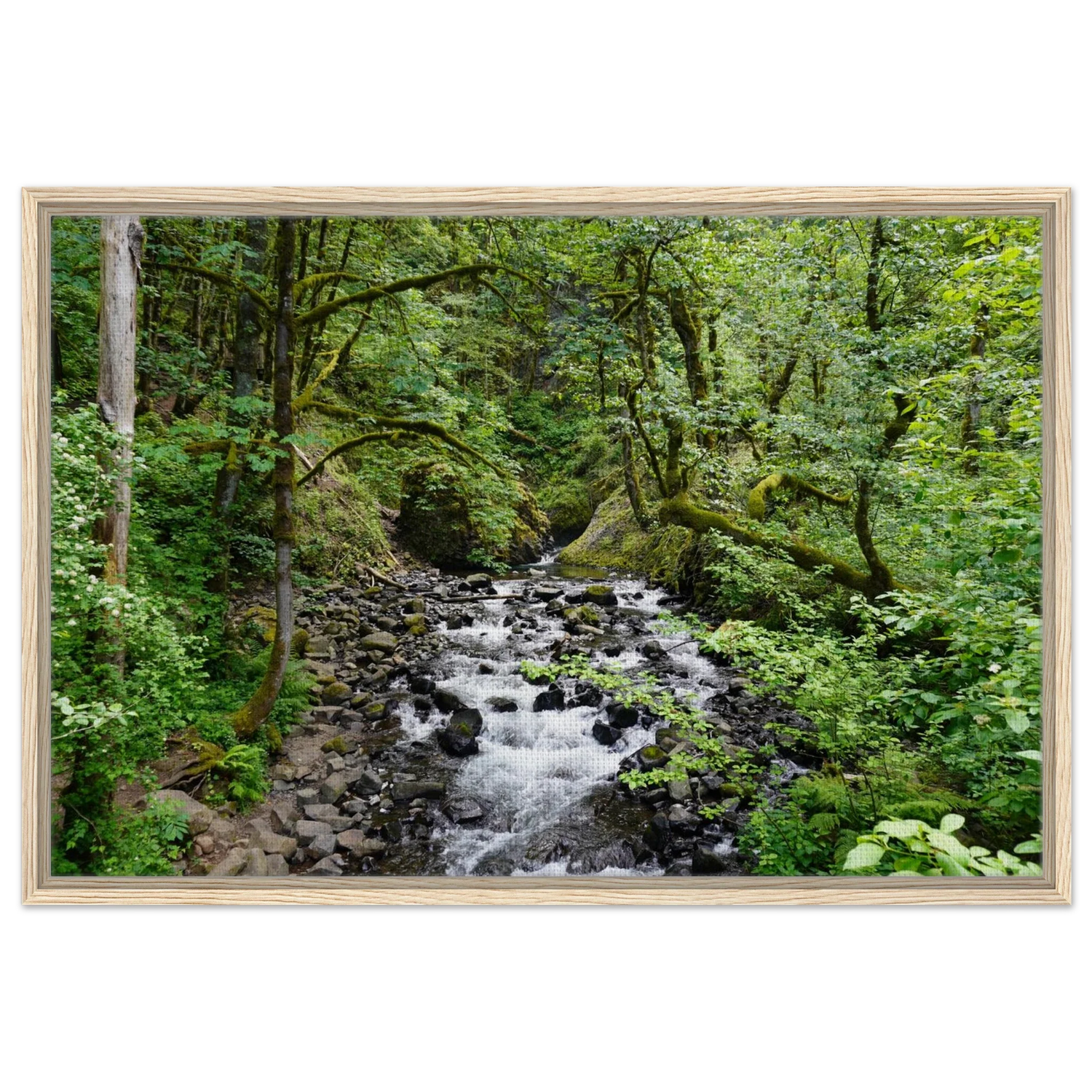 Forests and Streams