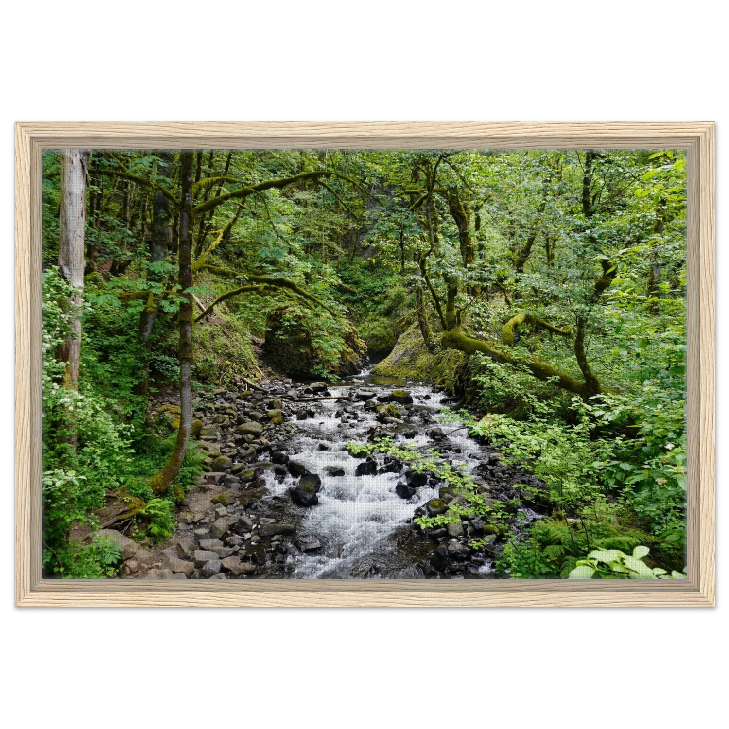 Forests and Streams