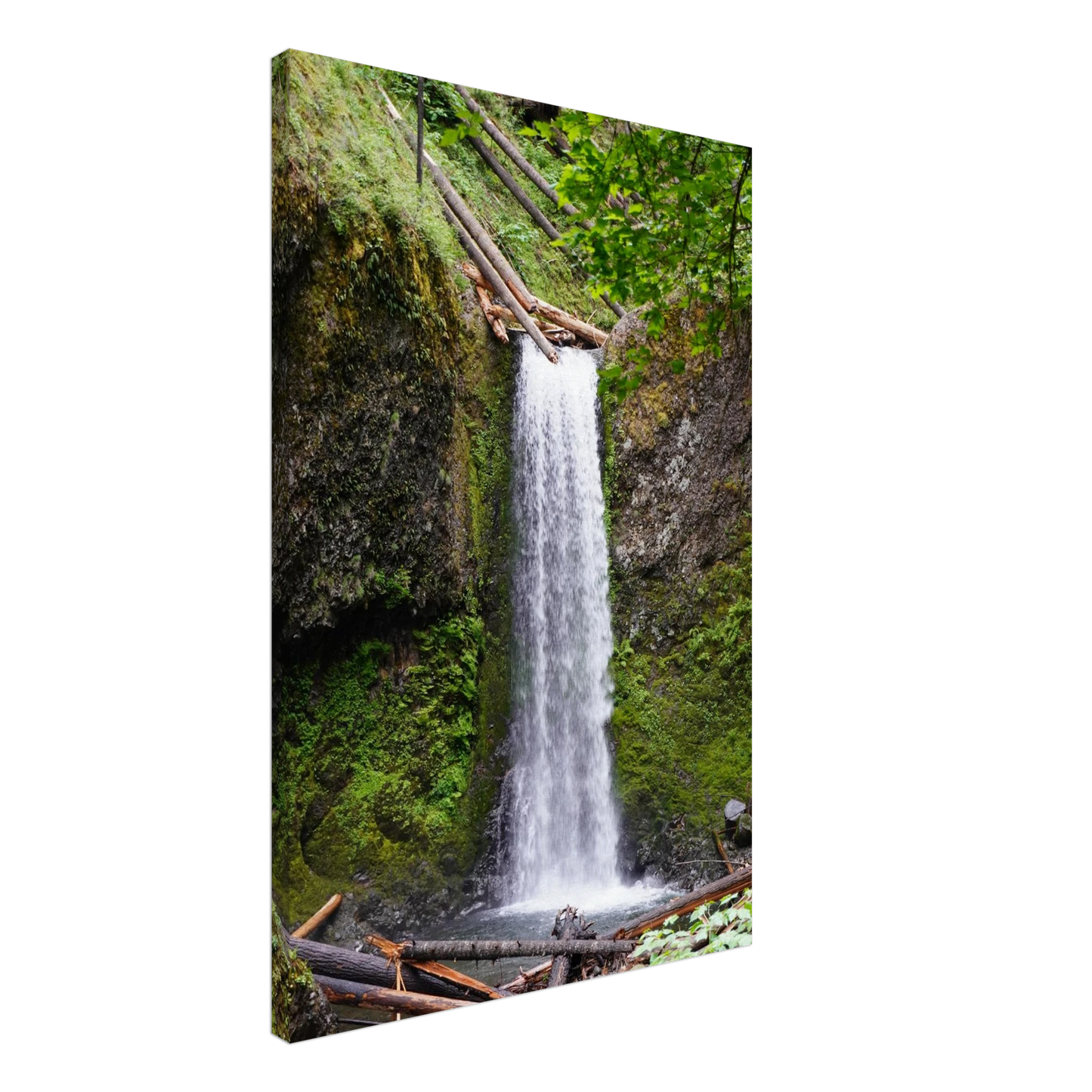 Wiesendanger Falls framed by moss and forest greenery as canvas wall art.