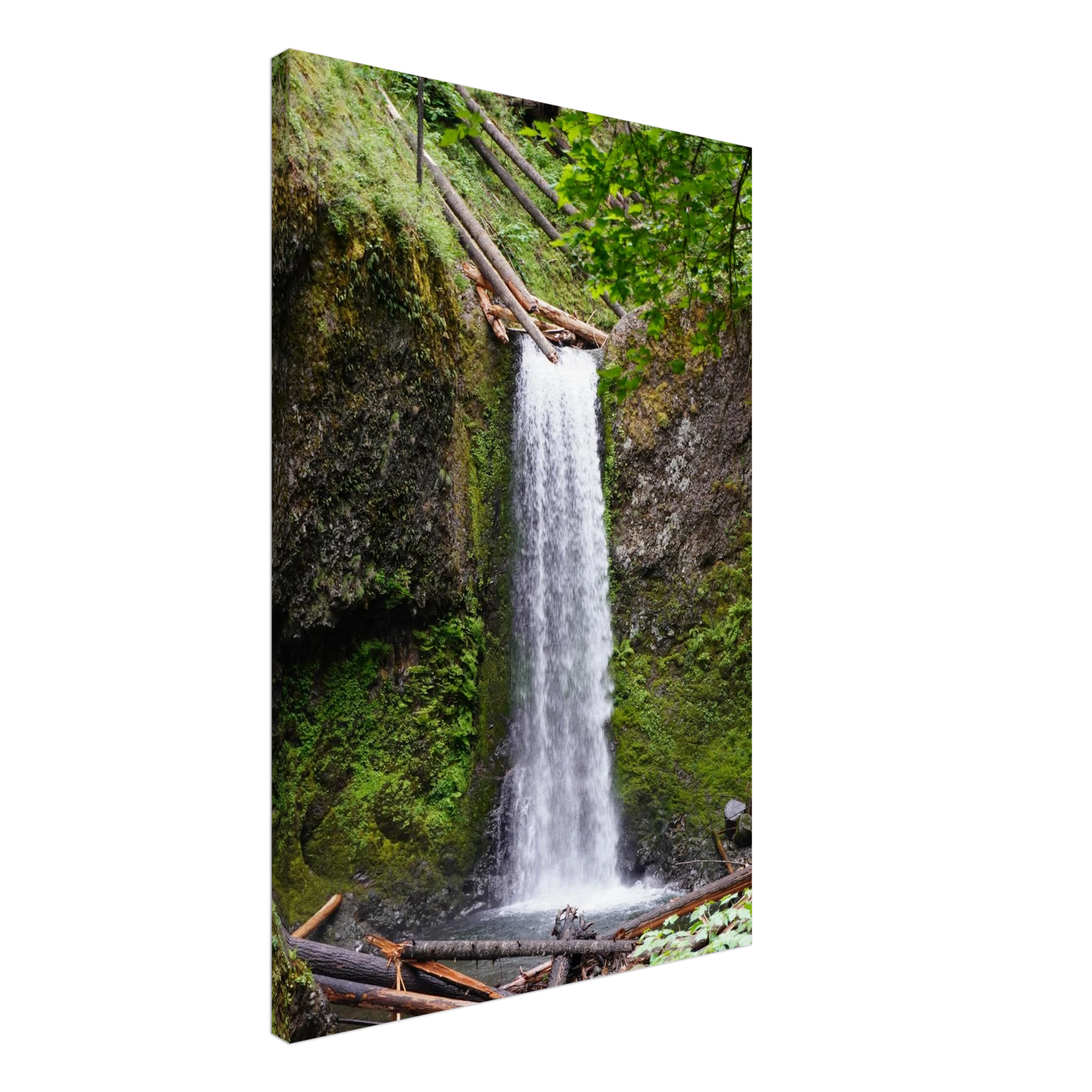 Wiesendanger Falls framed by moss and forest greenery as canvas wall art.