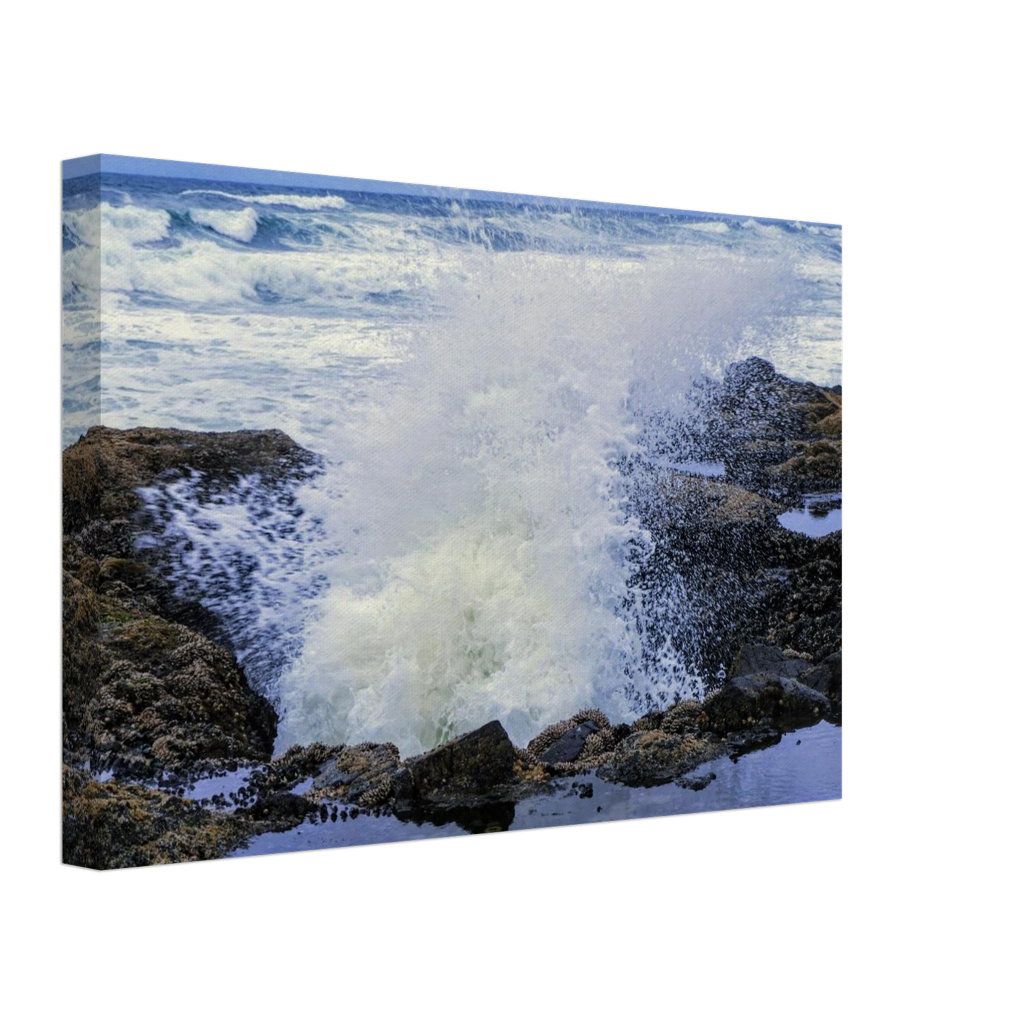 346cc5ec-1515-4b7f-bce2-c5f17cf24d5d
