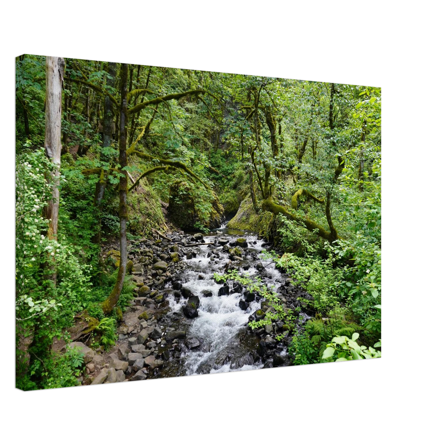 Rushing Oregon forest stream with mossy rocks and dense green trees as canvas wall art.