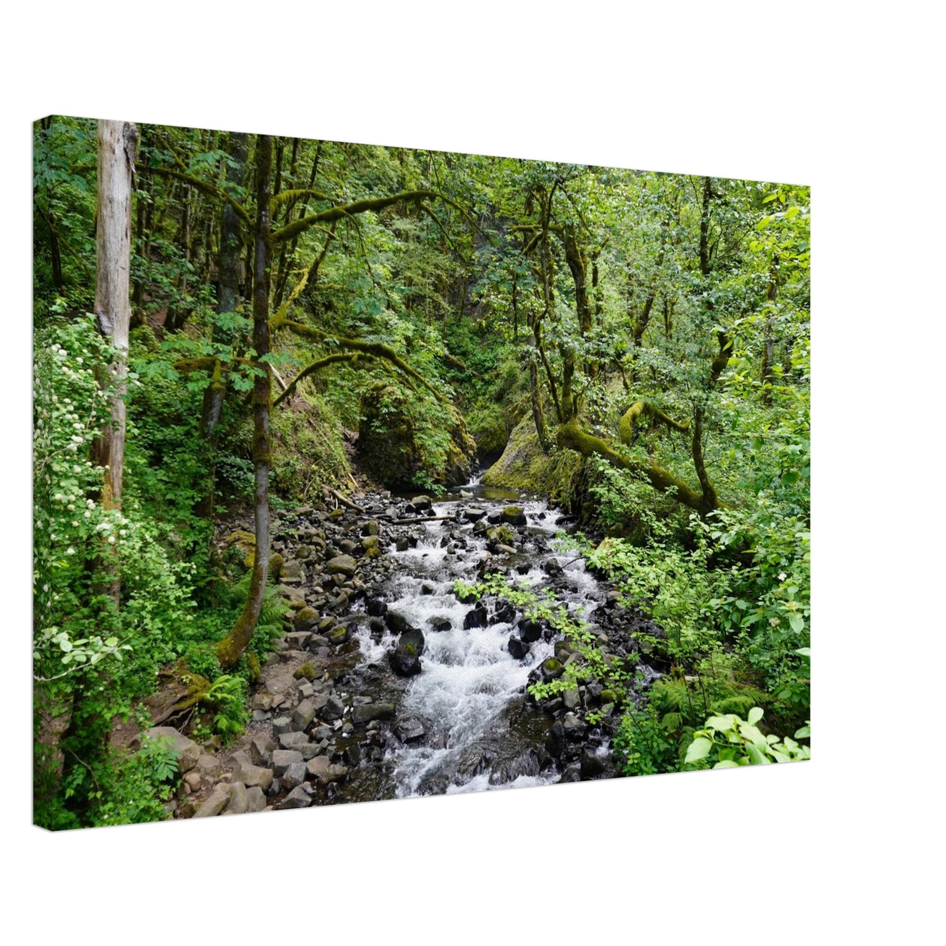 Rushing Oregon forest stream with mossy rocks and dense green trees as canvas wall art.