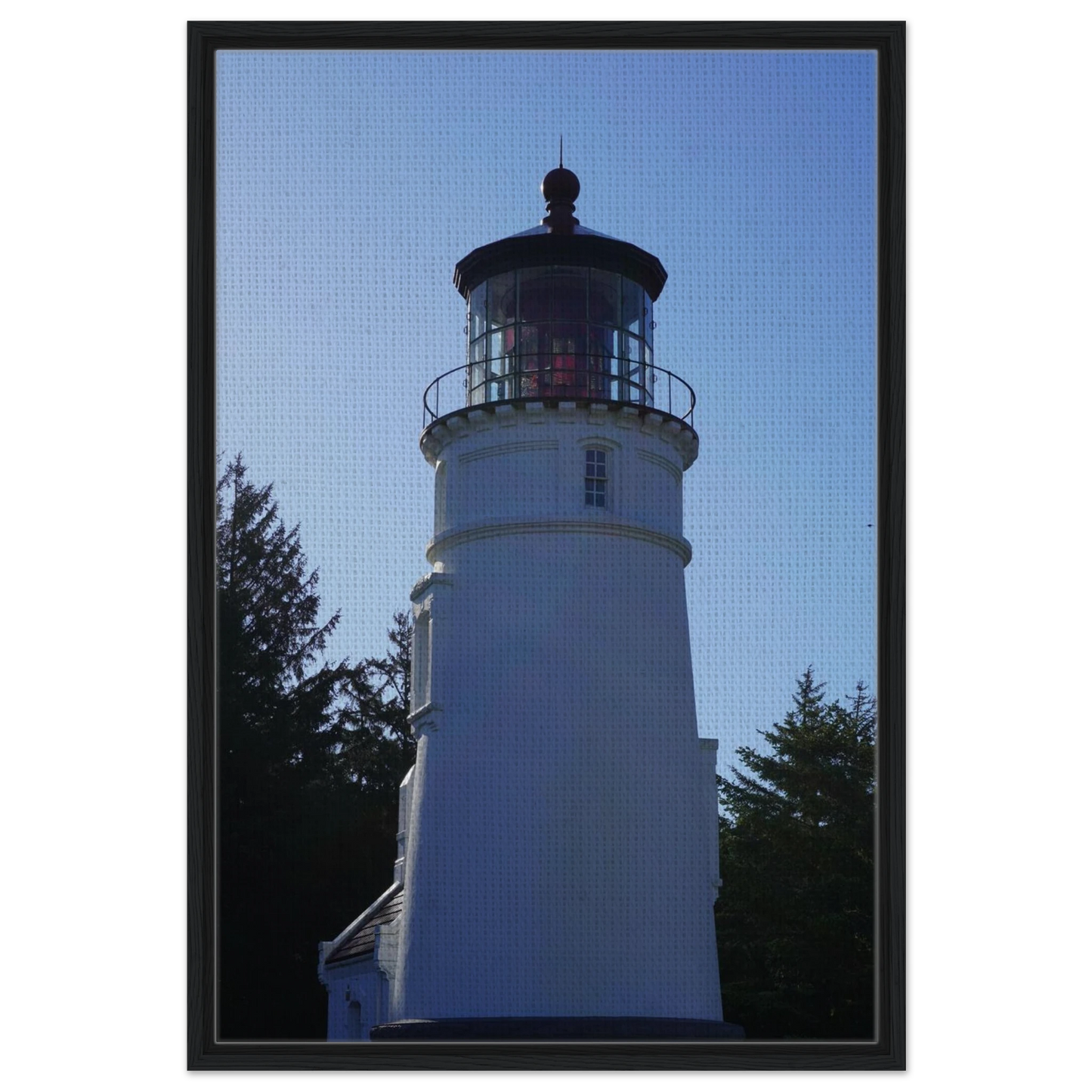 6fa00815-8bd9-4b79-973e-4b92c18f3558