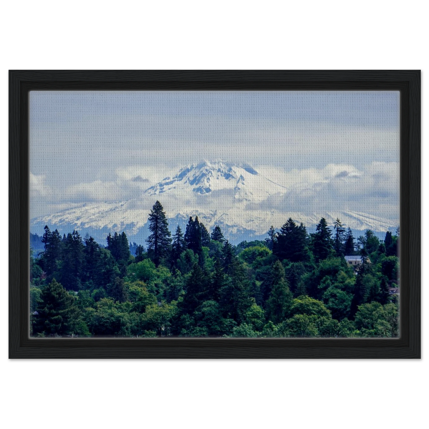 75265765-ba69-405e-a7bc-4f6ac8d49474