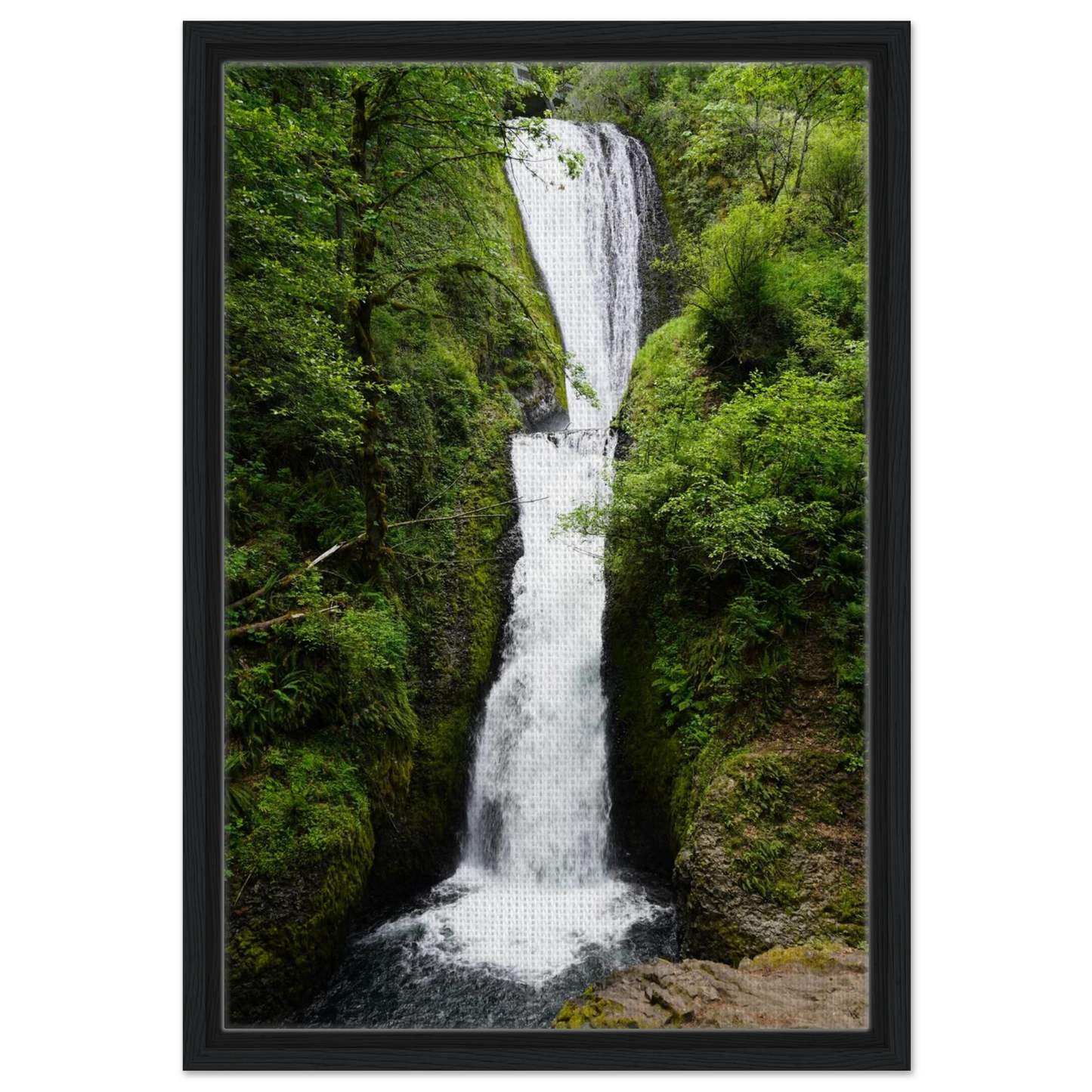 7a894d6c-16fb-4ef5-a806-b1da916e38a0