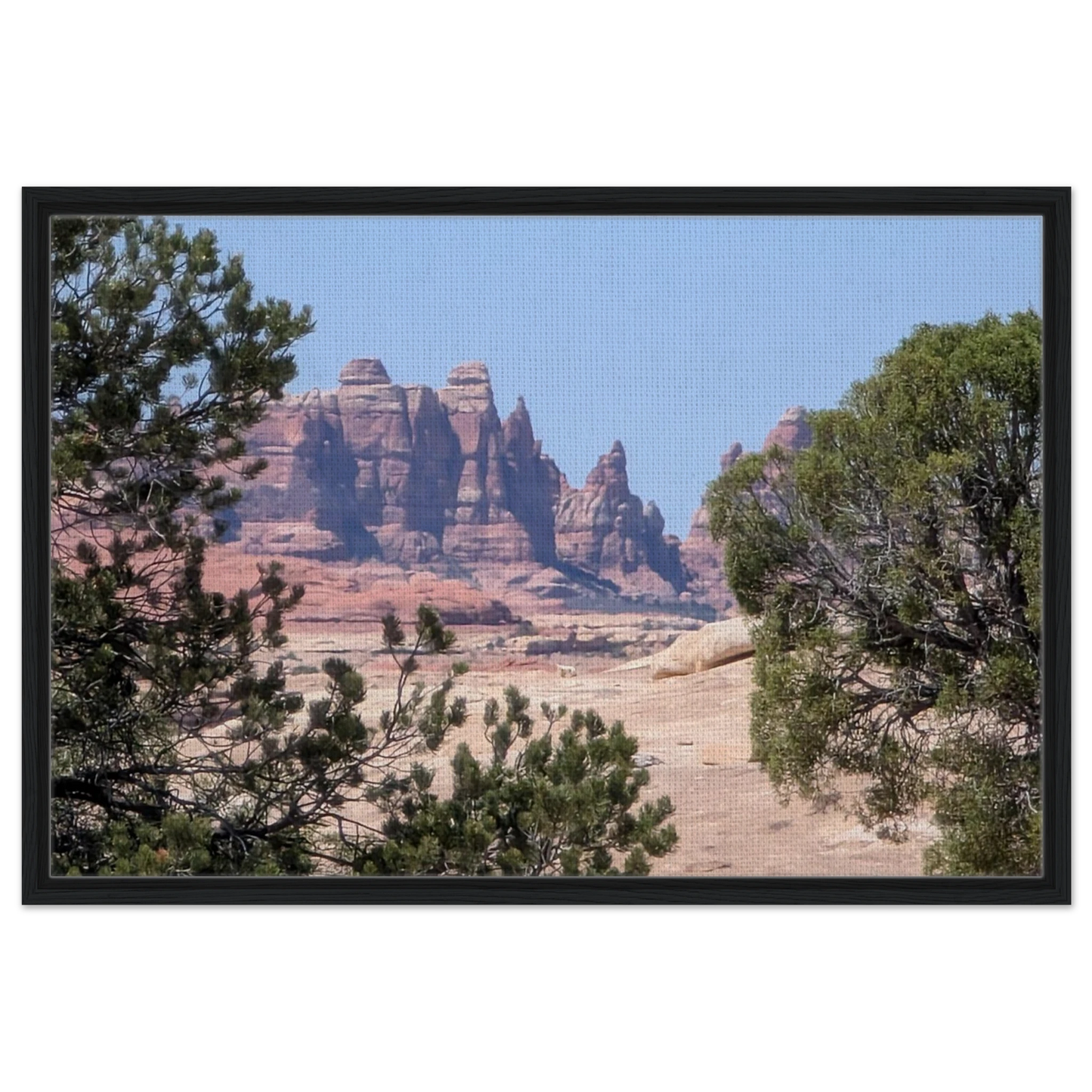 8c4421c6-e05d-4424-a933-29ccfe44427d