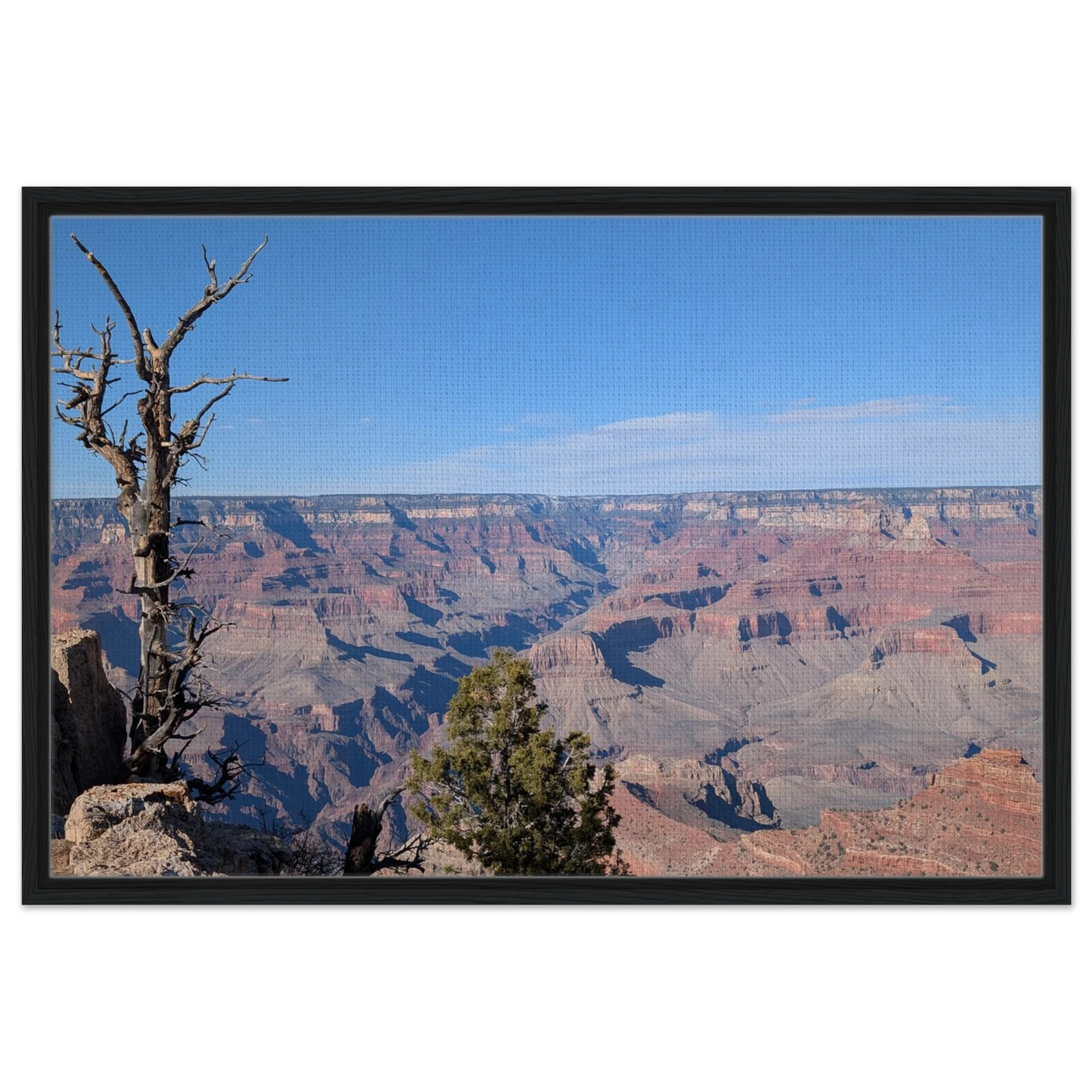 9c011a37-5a91-461a-ac7e-62767081285e
