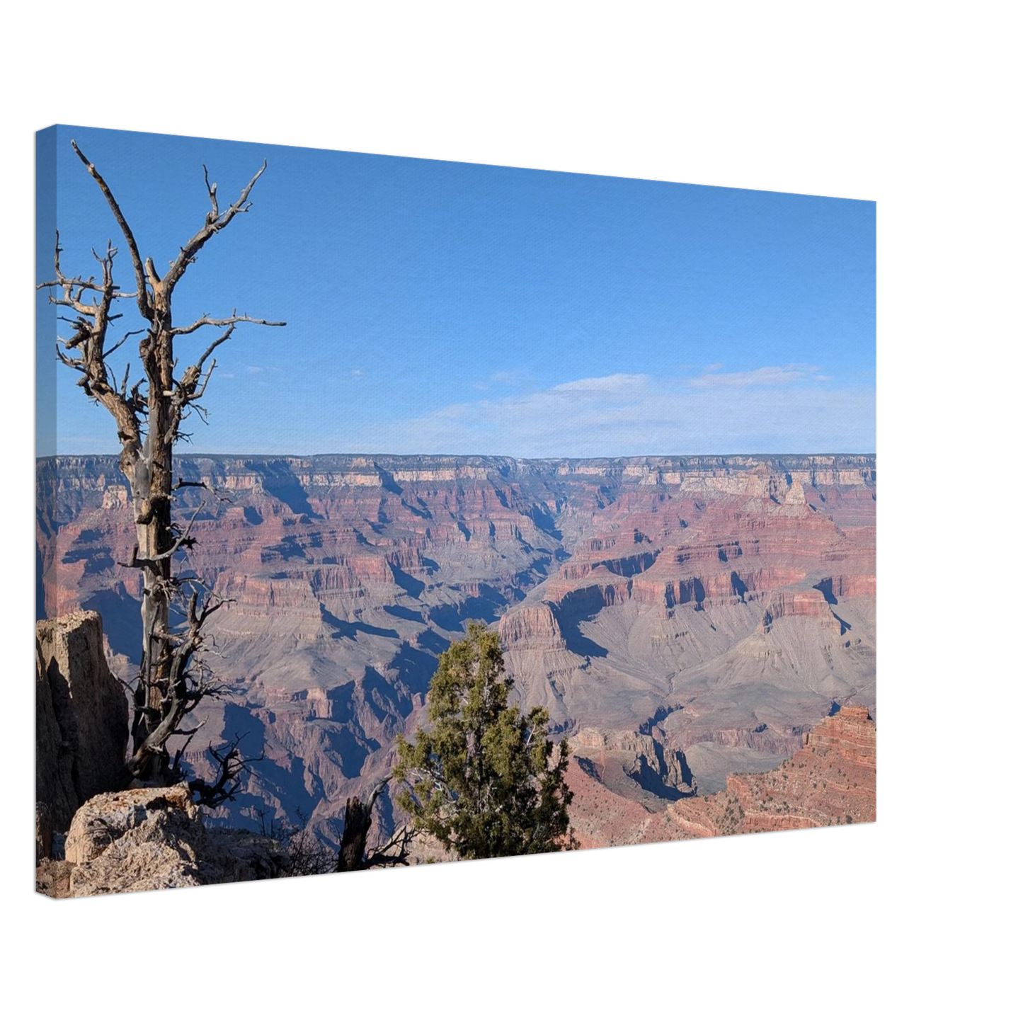Grand Canyon view framed by a weathered tree and layered canyon valleys as canvas wall art.
