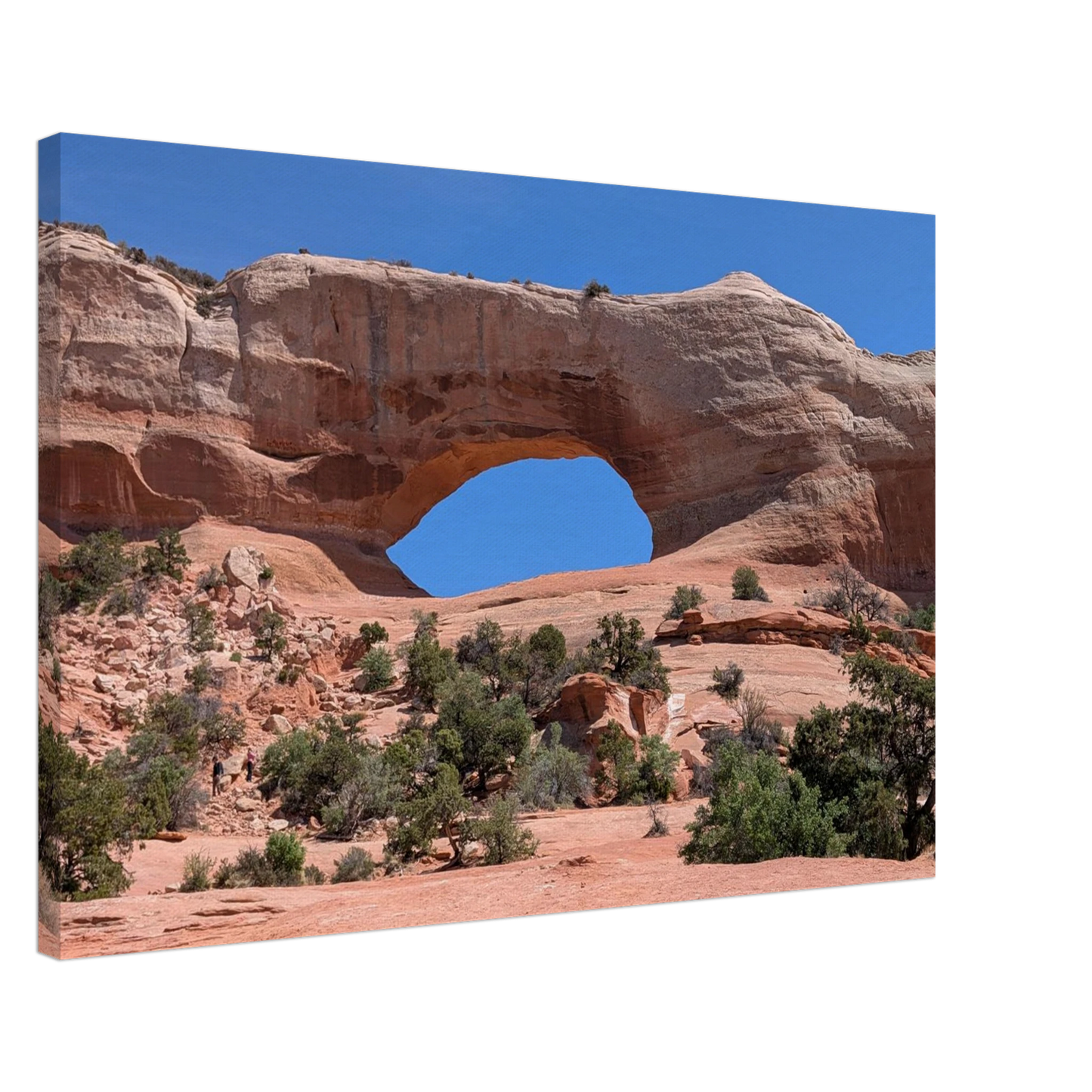 Close-up view of Wilson Arch near Monticello Utah as Southwest desert canvas wall art.