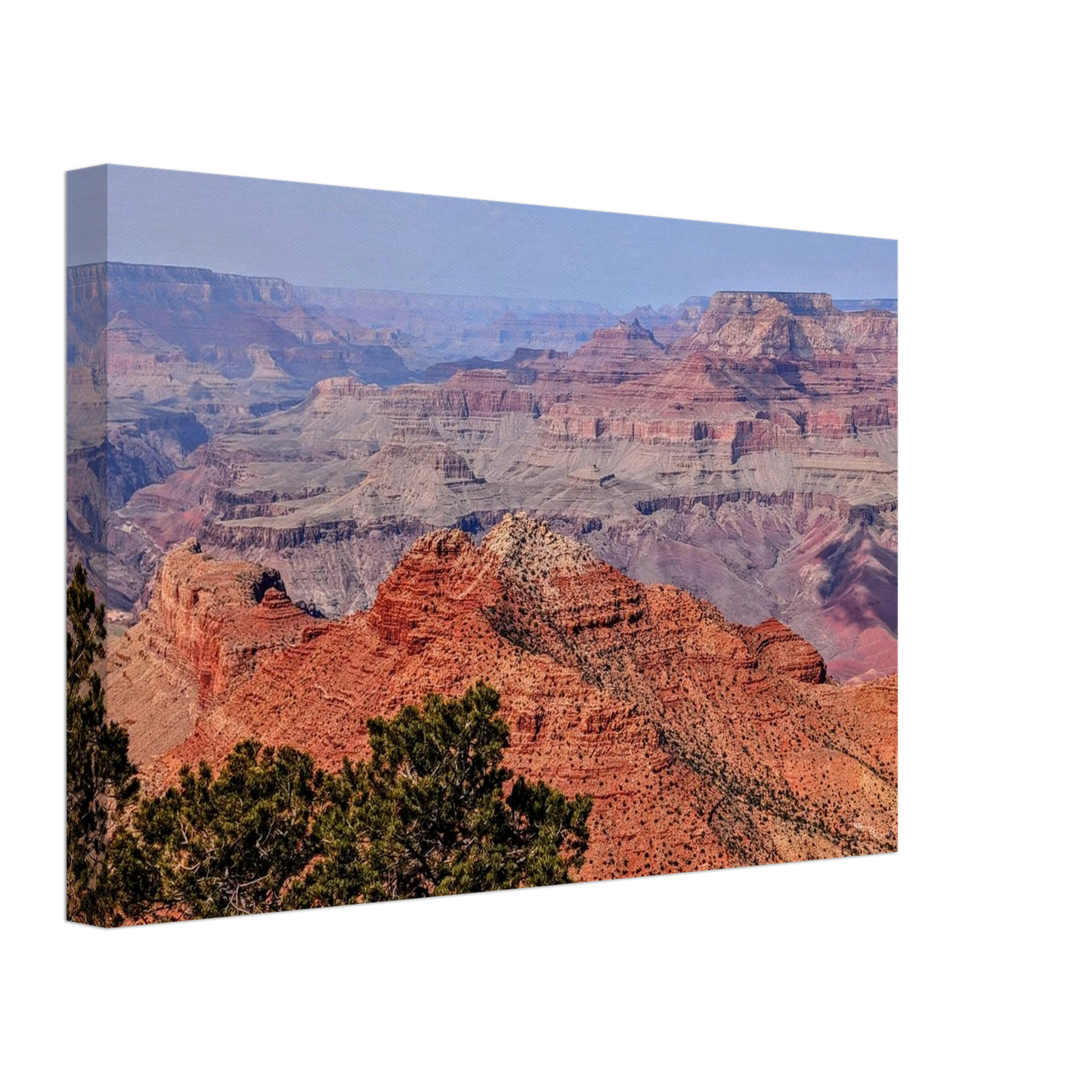 a61ad547-e923-455e-8a31-37710c00e9e0