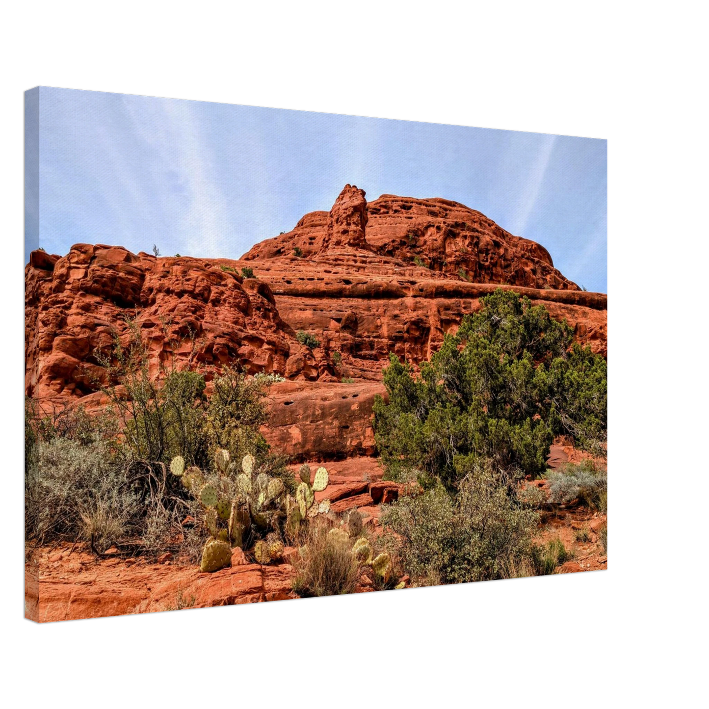 Courthouse Butte Trail in Sedona Arizona with red rocks and desert plants as canvas wall art.