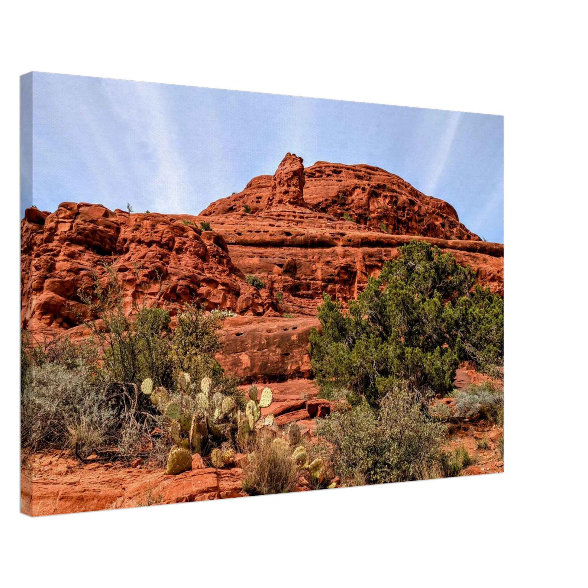 Courthouse Butte Trail in Sedona Arizona with red rocks and desert plants as canvas wall art.