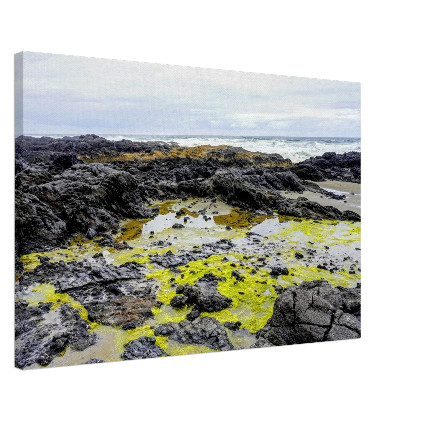 Bright green lichen and black lava rock tide pools along the Oregon coast as canvas wall art.