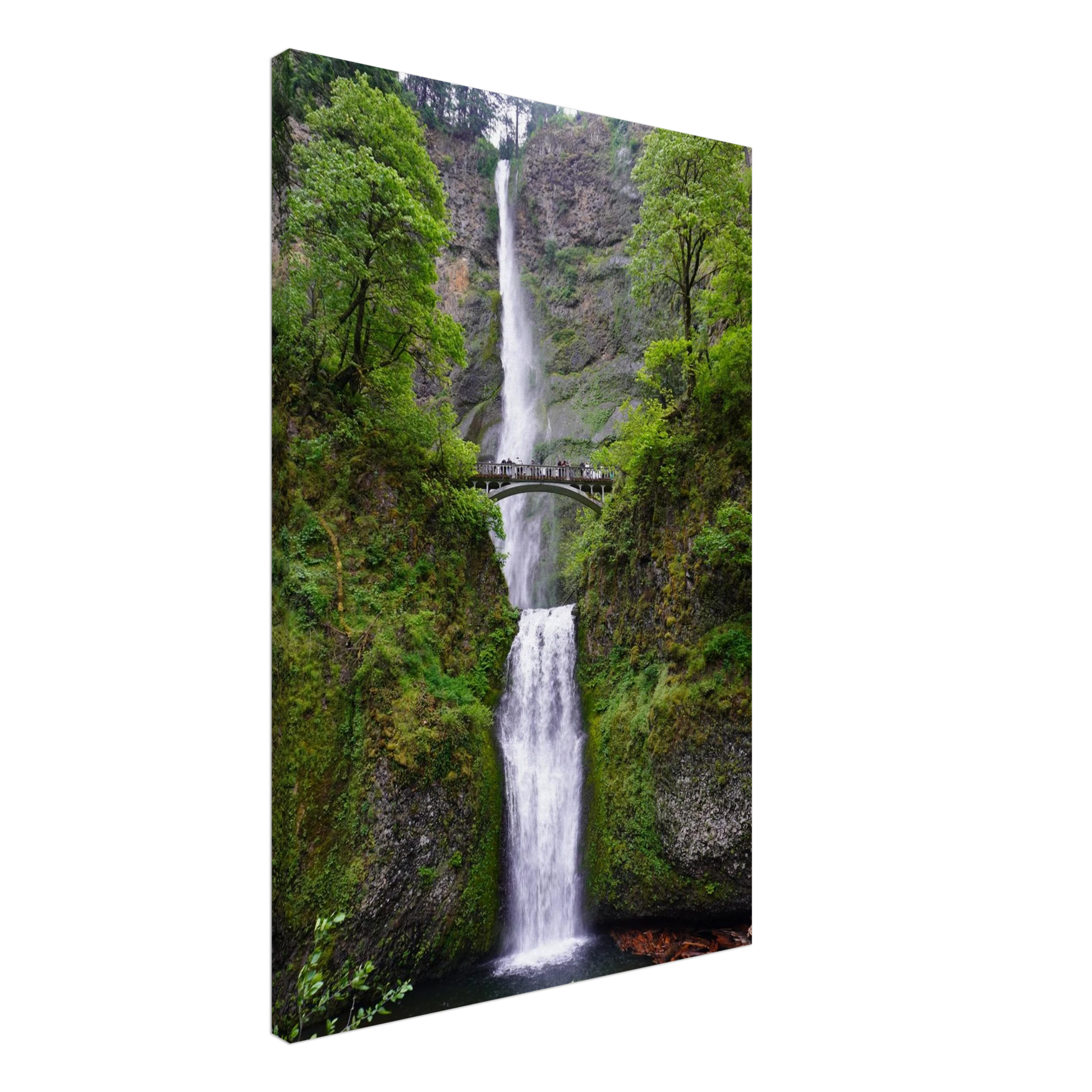 Multnomah Falls surrounded by lush Columbia River Gorge greenery as canvas wall art.