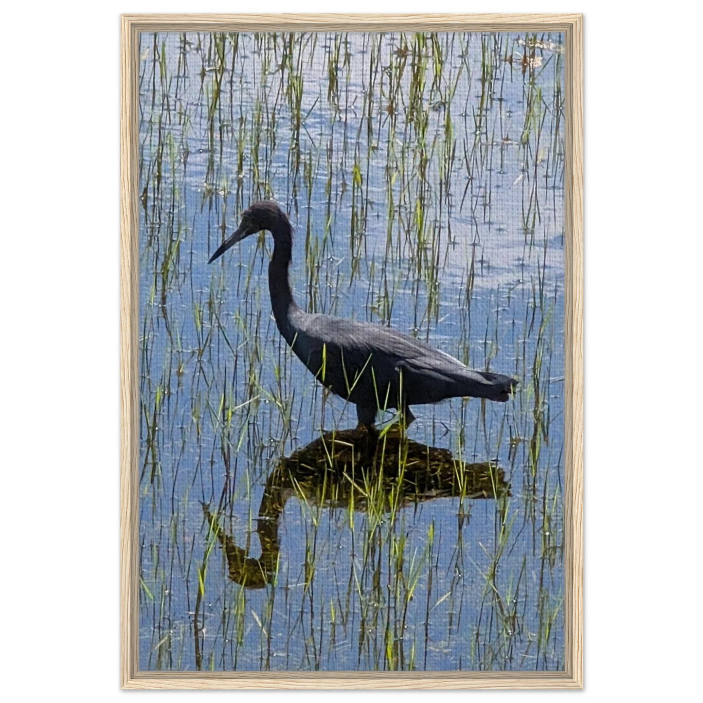 Coastal bird standing in shallow water with a soft reflection as minimalist canvas wall art.