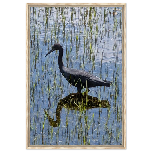 Coastal bird standing in shallow water with a soft reflection as minimalist canvas wall art.