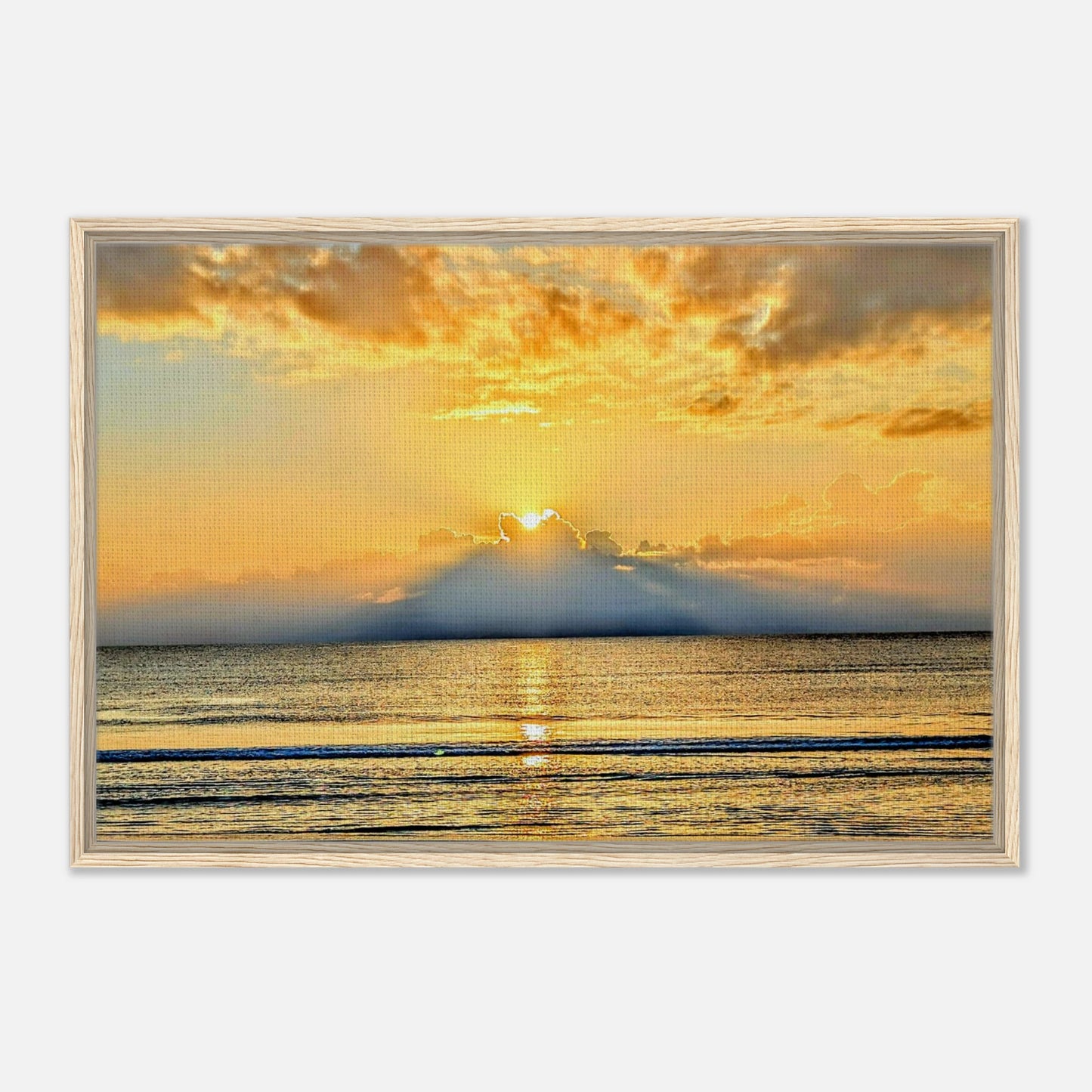d70caaed-aa1f-4633-b678-ac152b1de535