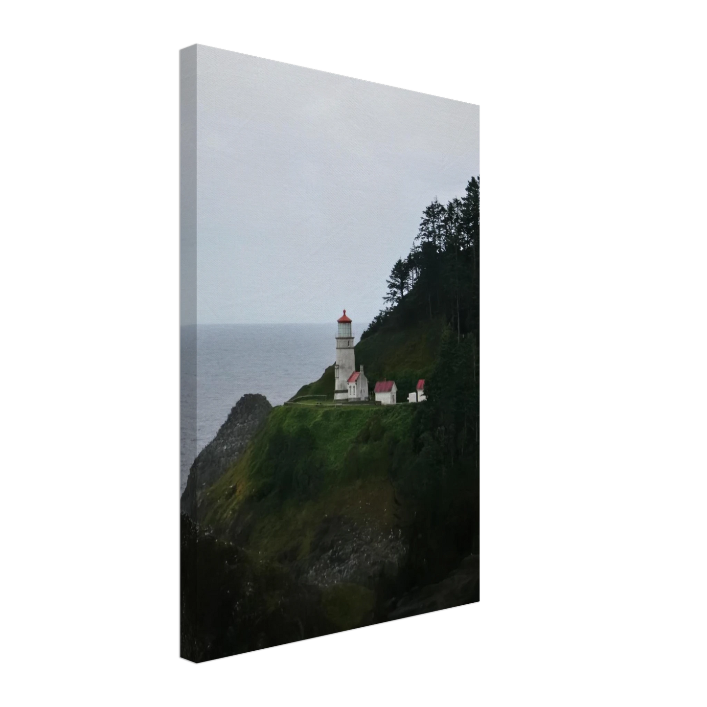 dd84b964-0320-4210-84c6-fa61a5a55c8d