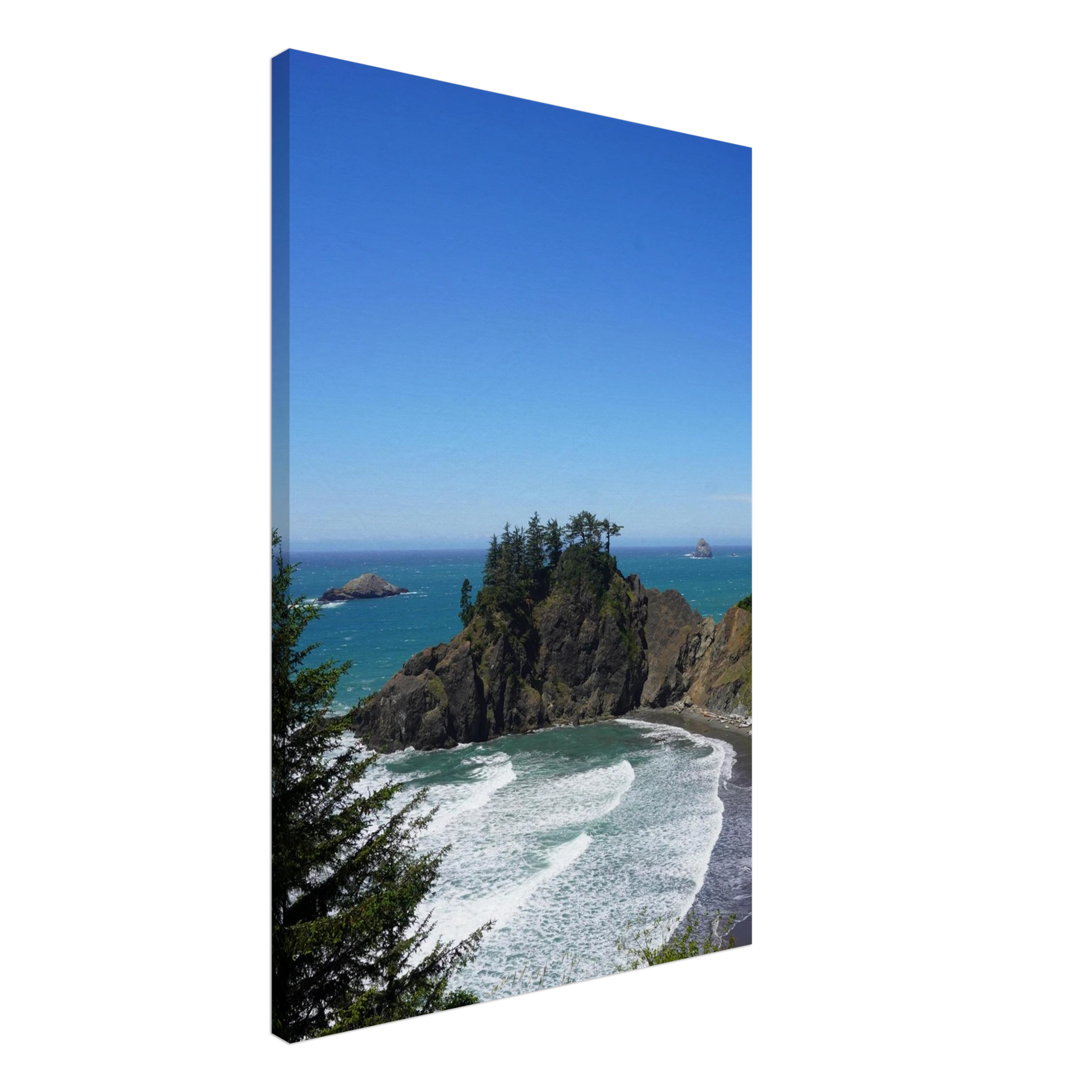 Trees growing on a rocky Oregon coast sea stack above blue Pacific water as canvas wall art.
