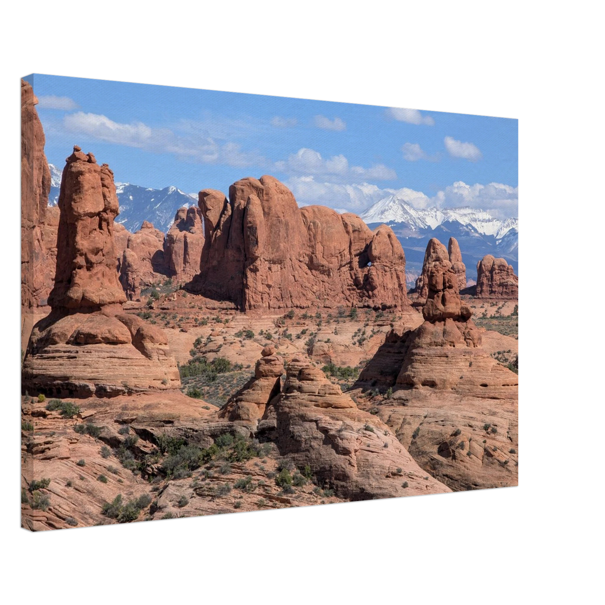 Red rock formations at Garden of Eden in Arches National Park with snowy mountains in the distance as canvas wall art.