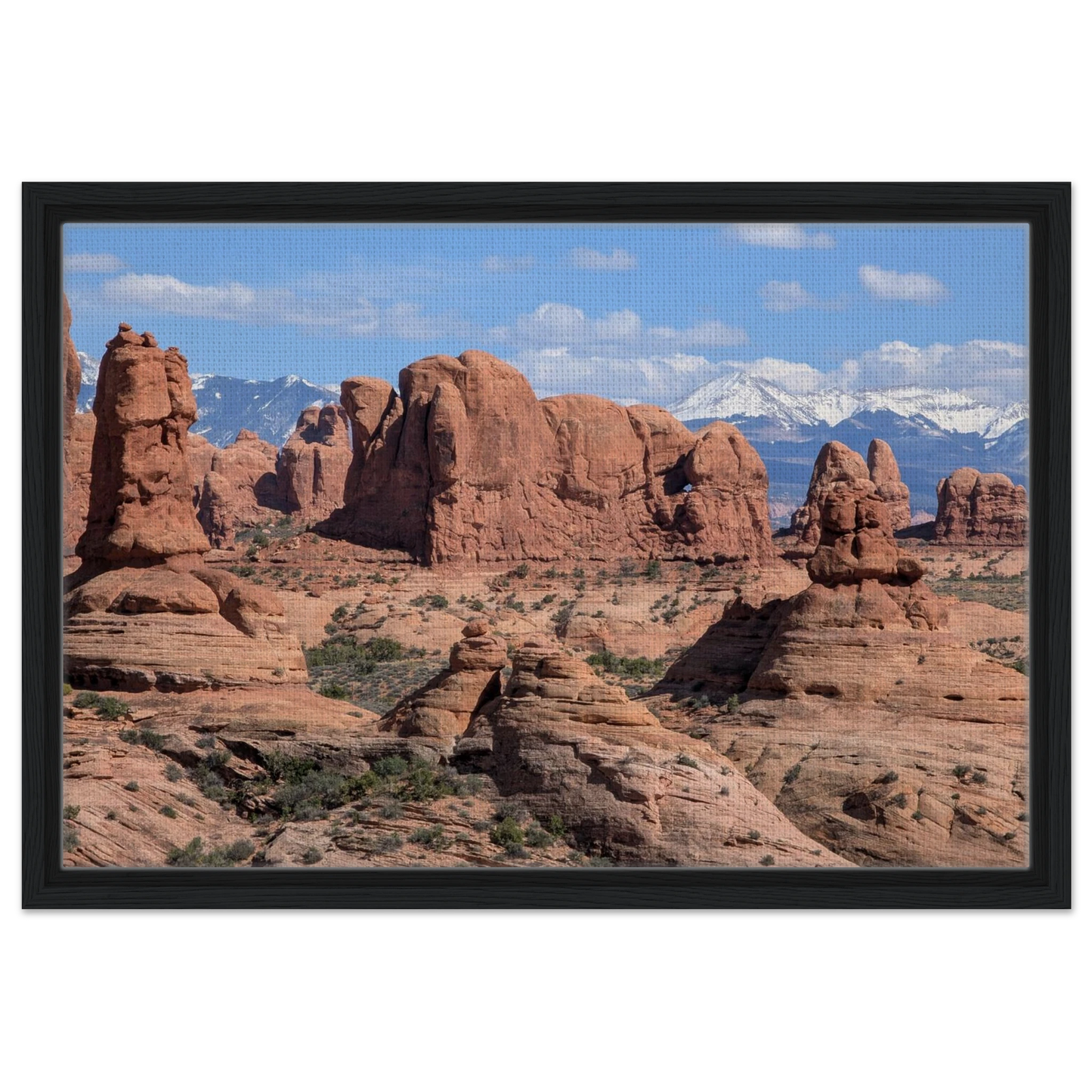 Red rock formations at Garden of Eden in Arches National Park with snowy mountains in the distance as canvas wall art.
