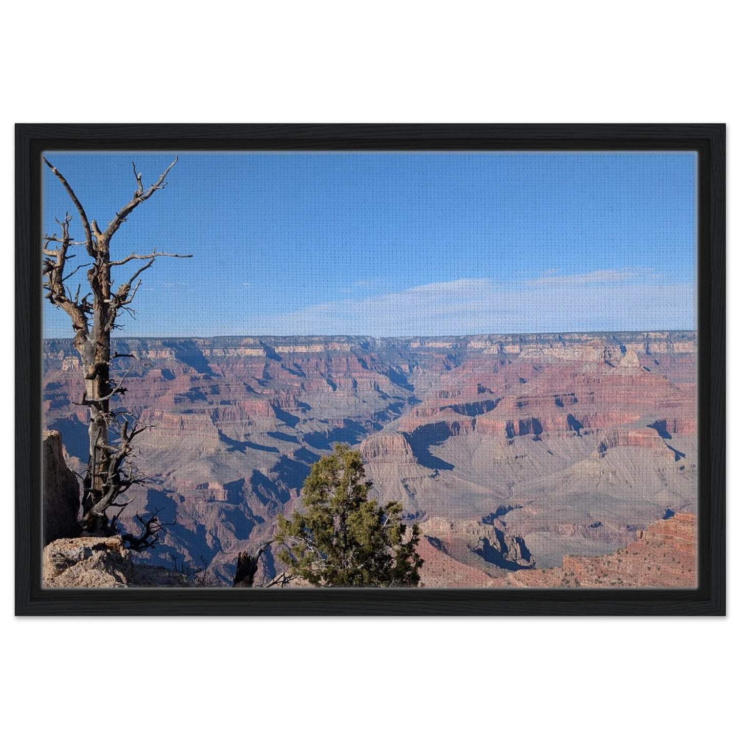 Grand Canyon view framed by a weathered tree and layered canyon valleys as canvas wall art.