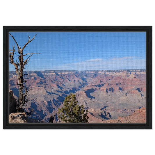 Grand Canyon view framed by a weathered tree and layered canyon valleys as canvas wall art.