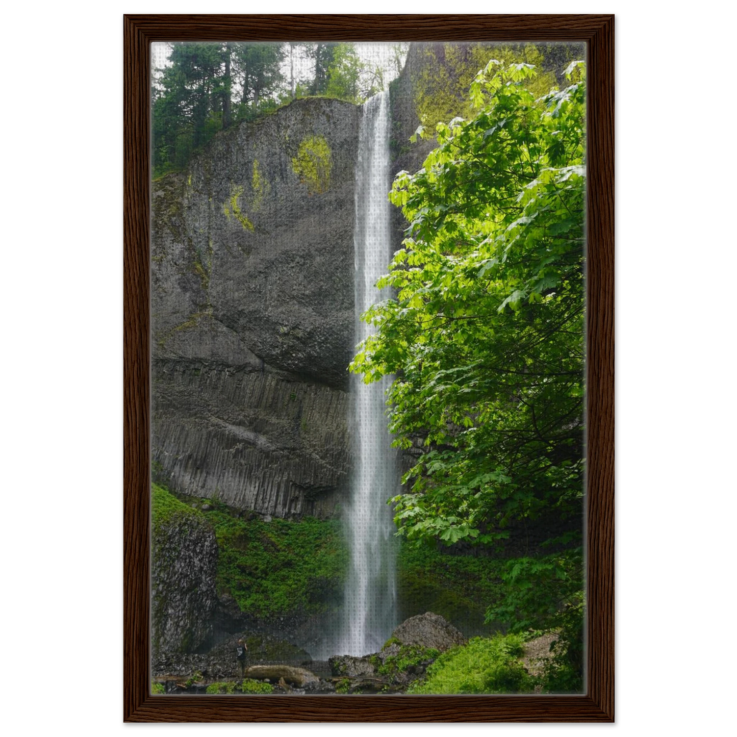 Latourell Falls dropping beside mossy basalt cliffs and green forest as canvas wall art.