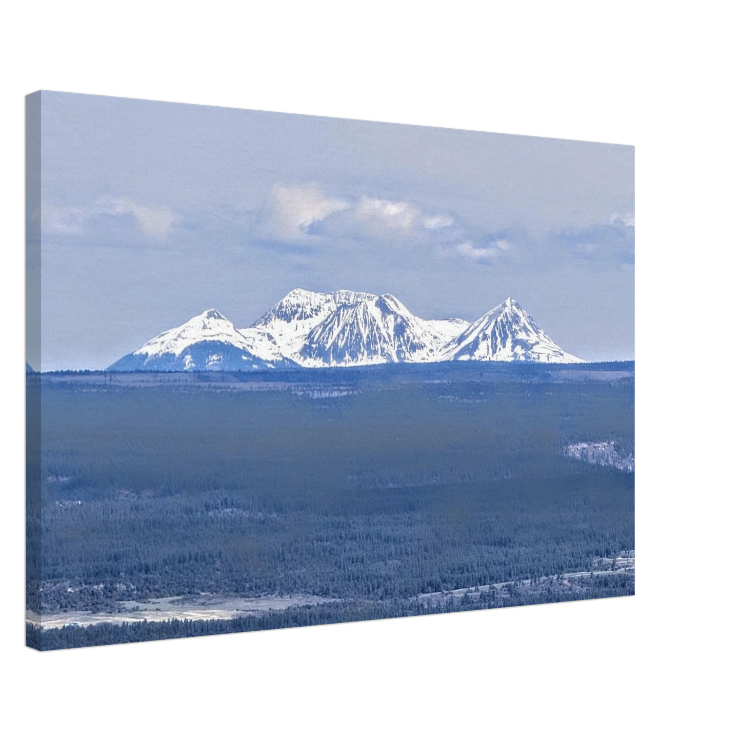 Ranch fence and open Mancos Valley with snow-capped Colorado mountains in the distance as canvas wall art.