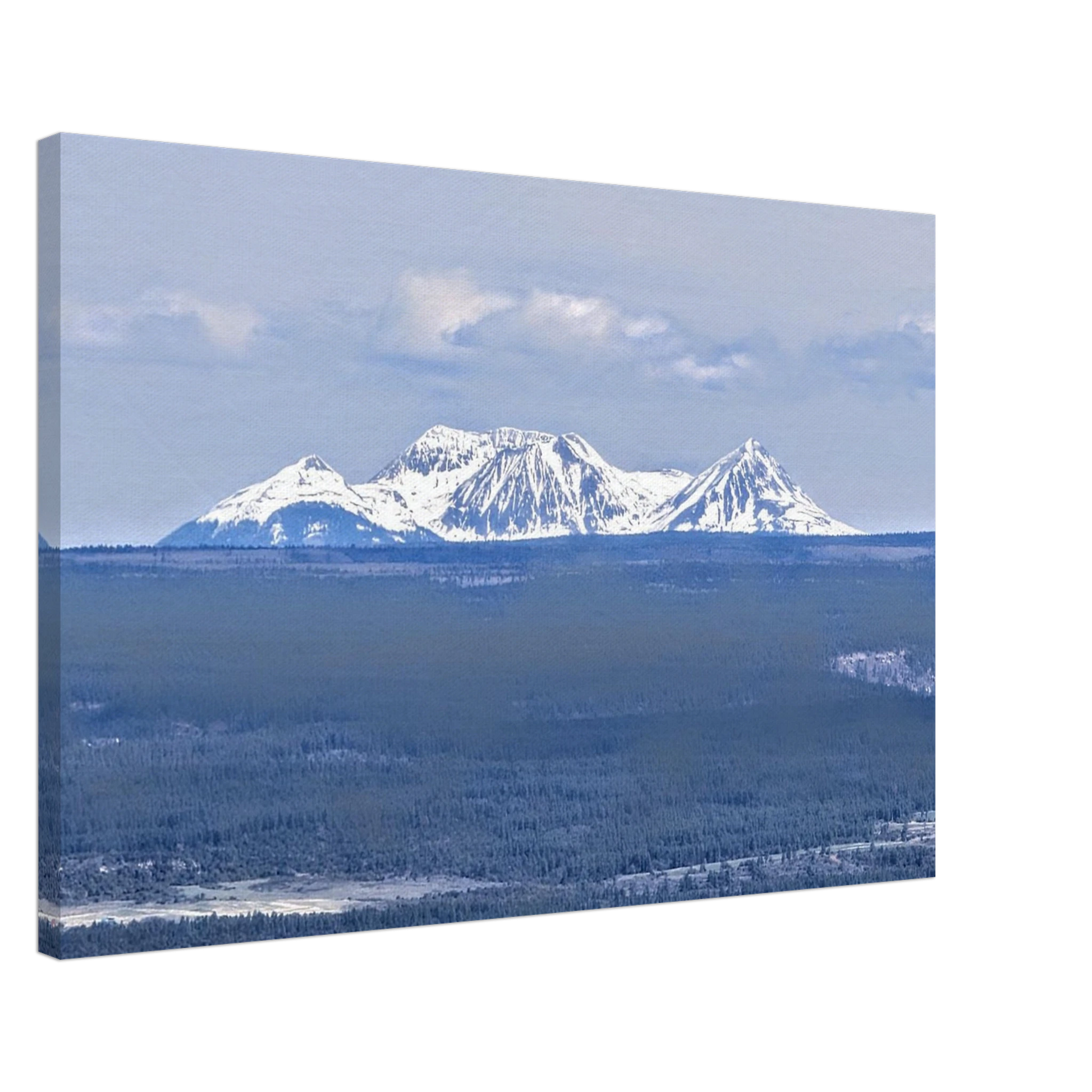 Ranch fence and open Mancos Valley with snow-capped Colorado mountains in the distance as canvas wall art.