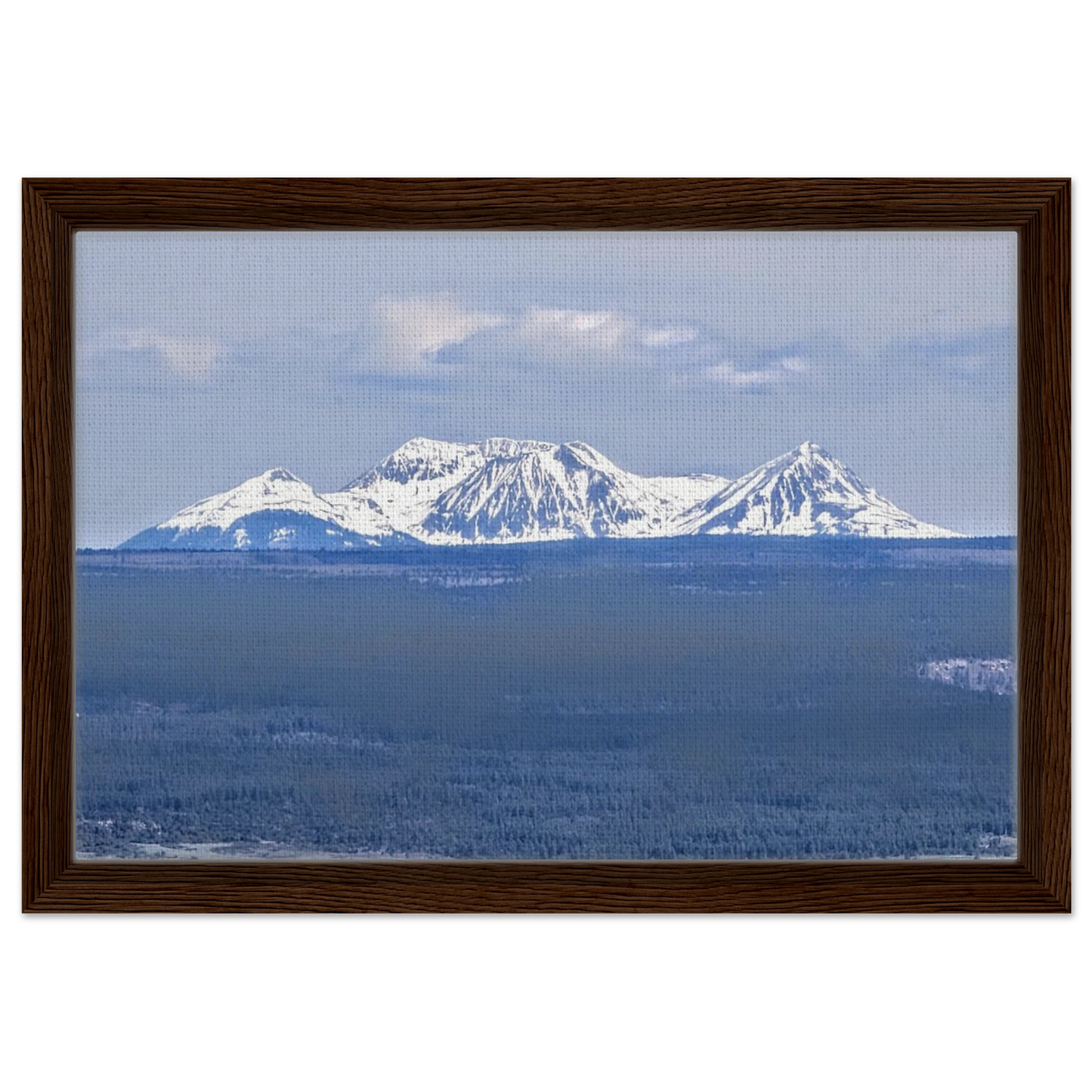 Ranch fence and open Mancos Valley with snow-capped Colorado mountains in the distance as canvas wall art.