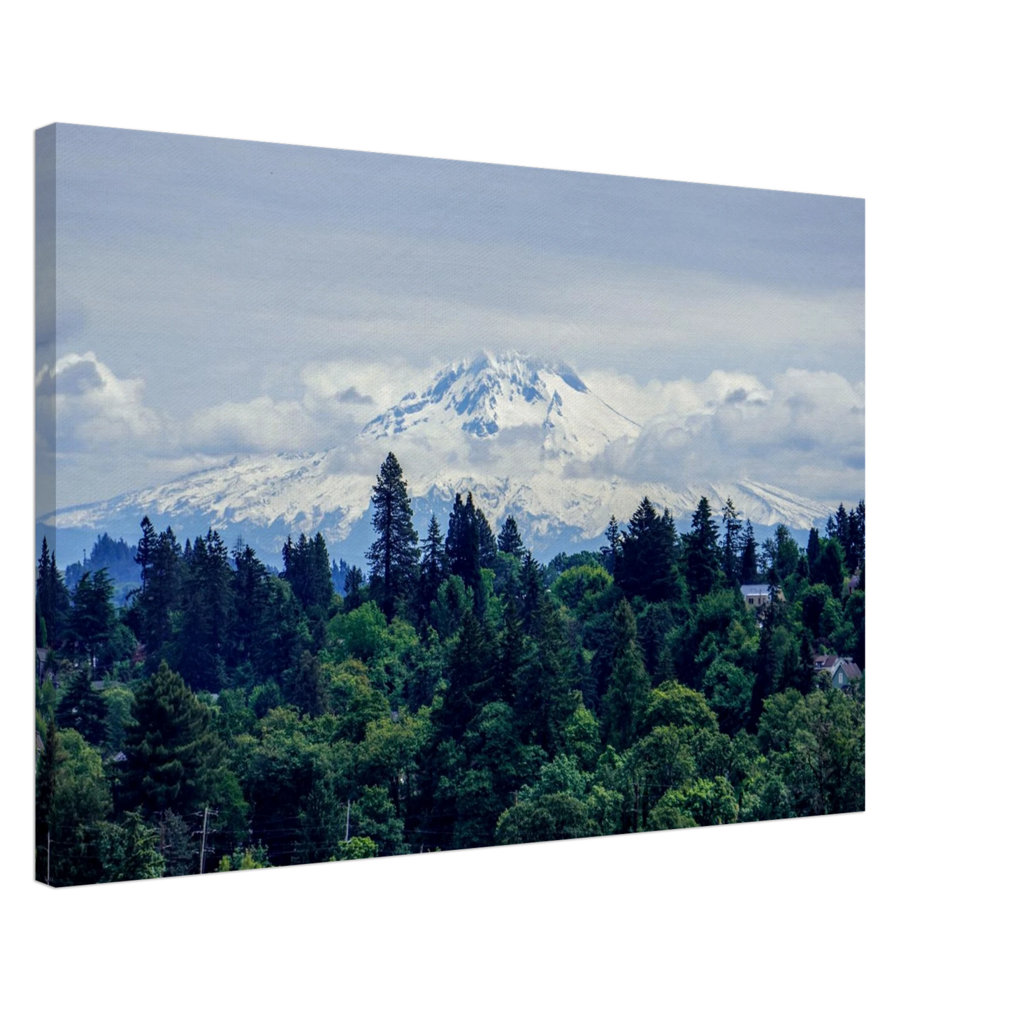 Snow-covered Mount Hood rising above green Oregon trees as premium Pacific Northwest mountain canvas wall art.