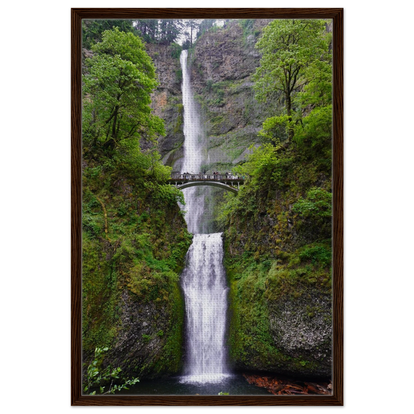 Multnomah Falls surrounded by lush Columbia River Gorge greenery as canvas wall art.