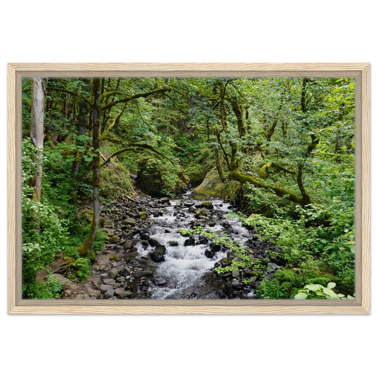 Rushing Oregon forest stream with mossy rocks and dense green trees as canvas wall art.