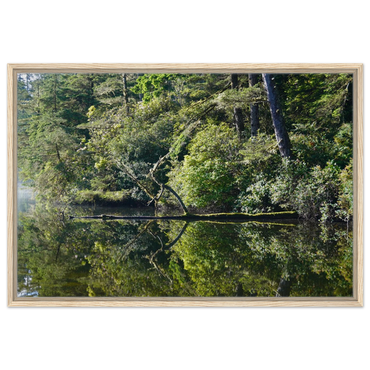 Calm Oregon lake reflecting evergreen forest and shoreline as canvas wall art.