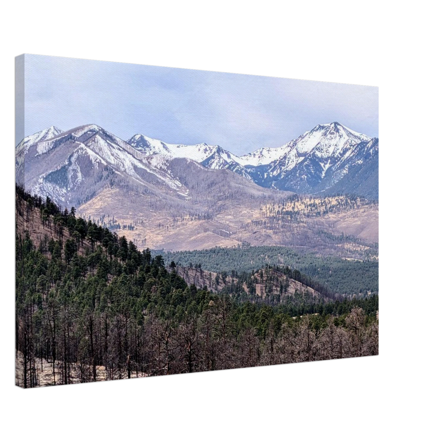 Snow-capped San Francisco Peaks viewed from Sunset Crater Volcano National Monument in Arizona as premium mountain canvas wall art.