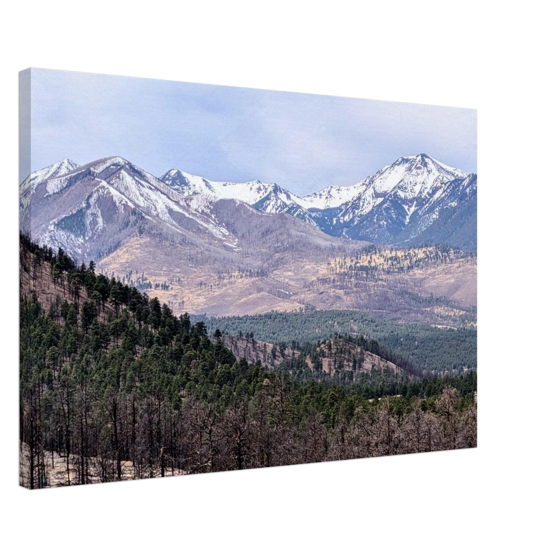 Snow-capped San Francisco Peaks viewed from Sunset Crater Volcano National Monument in Arizona as premium mountain canvas wall art.