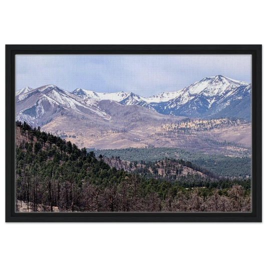 Snow-capped San Francisco Peaks viewed from Sunset Crater Volcano National Monument in Arizona as premium mountain canvas wall art.