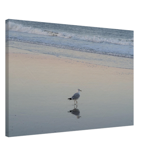 Single seagull reflected on wet beach sand captured as minimalist coastal canvas wall art.