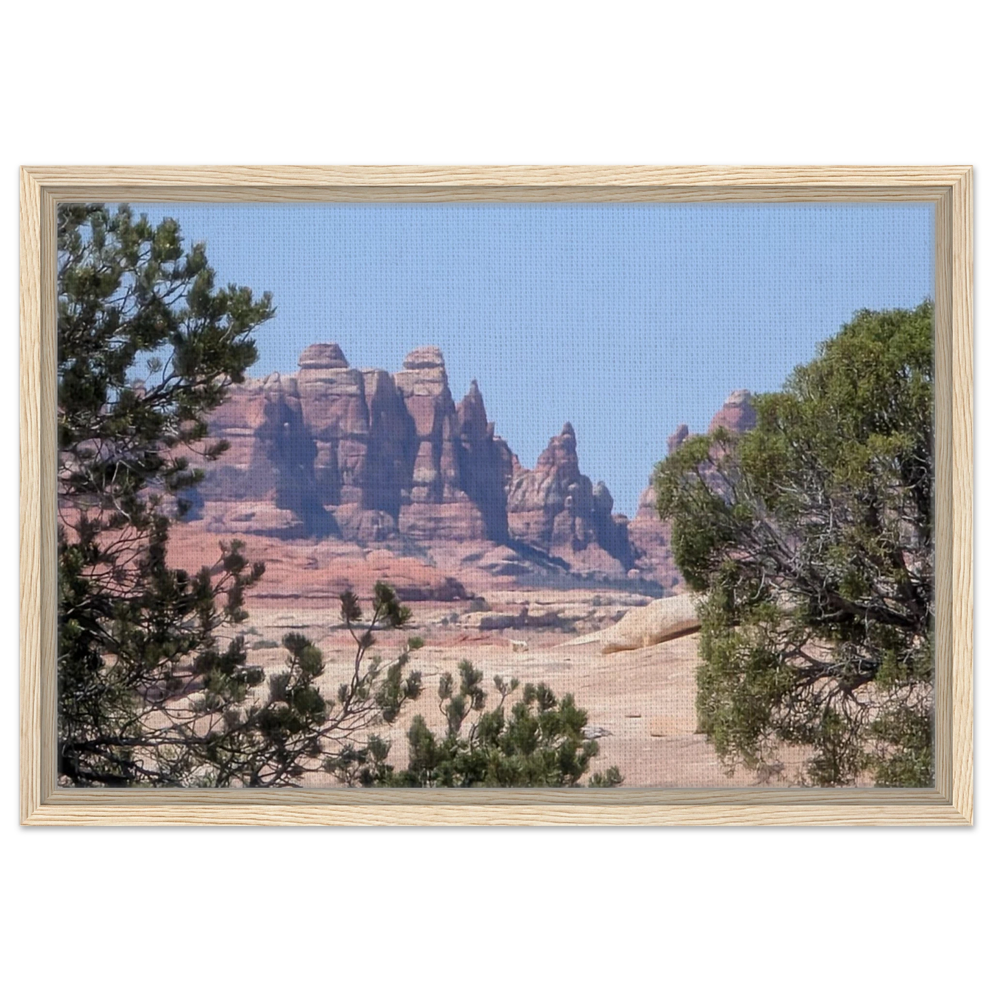 The Needles rock formations in Canyonlands National Park as Southwest desert canvas wall art.