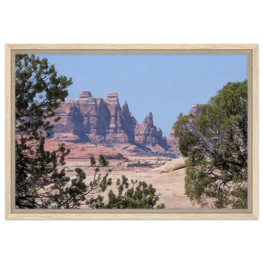The Needles rock formations in Canyonlands National Park as Southwest desert canvas wall art.