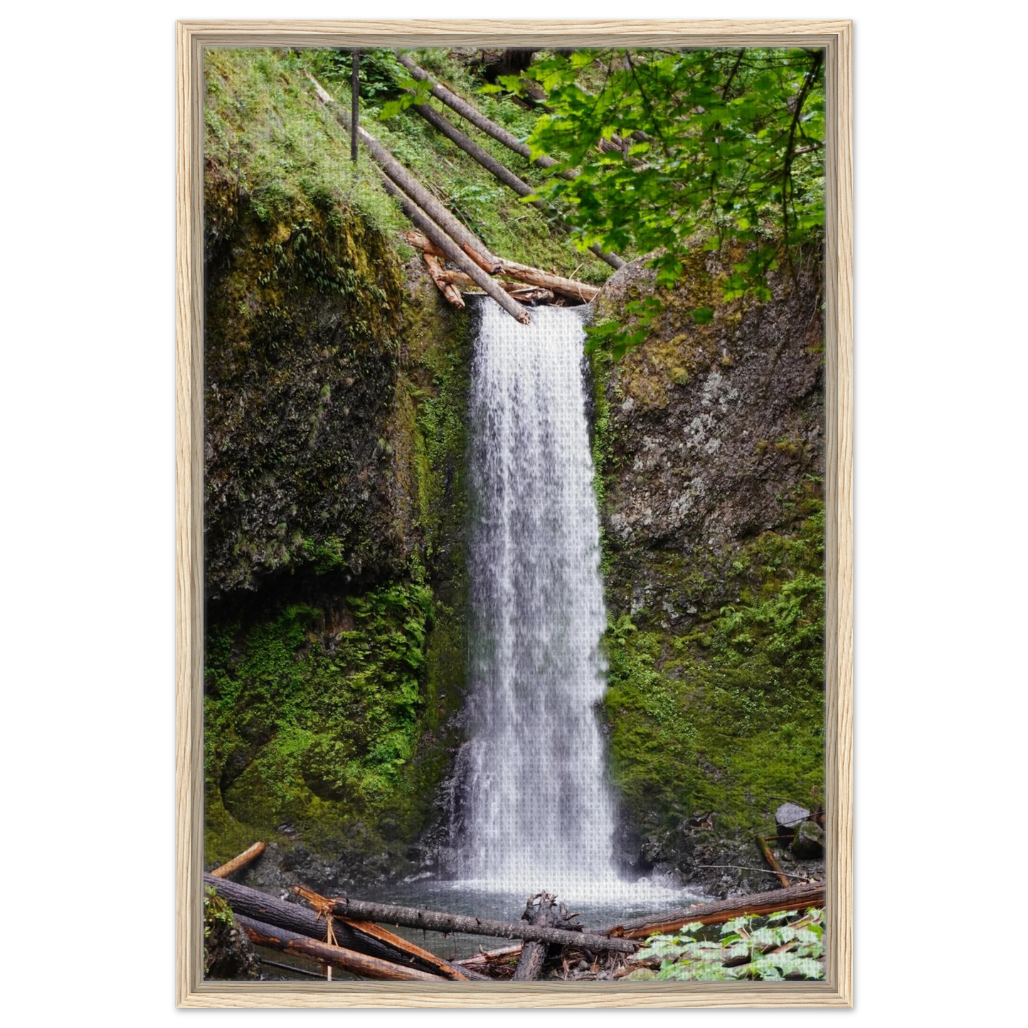 Wiesendanger Falls framed by moss and forest greenery as canvas wall art.